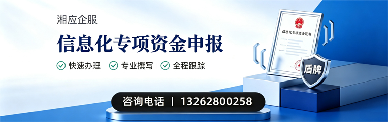 廊坊信息化专项资金申报服务