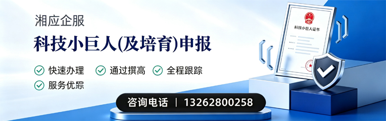 廊坊科技小巨人及培育企业申报服务