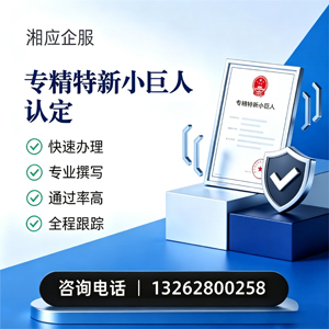 廊坊专精特新小巨人申报服务