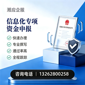 廊坊信息化专项资金申报服务