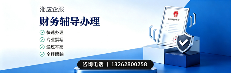 廊坊财务辅导申请服务