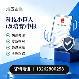 廊坊科技小巨人及培育企业申报服务