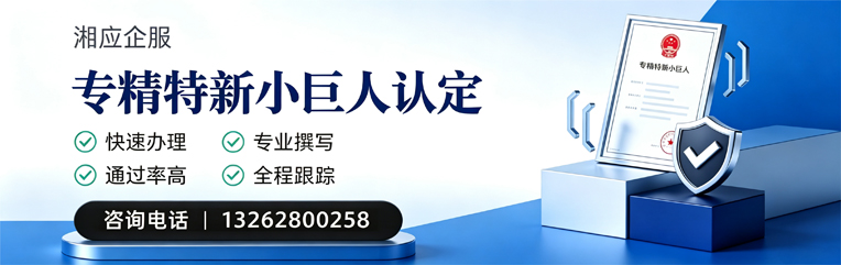 廊坊专精特新小巨人申报服务